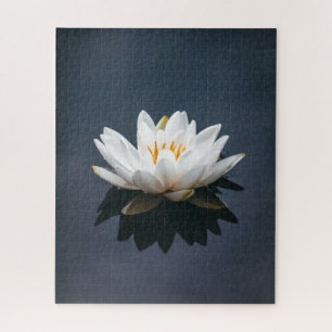 JIGSAW PUZZLE : LOTUS EN EL AGUA