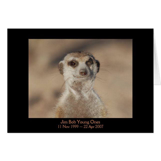 Jim Bob - tarjeta de las leyendas (Anverso (Horizontal))