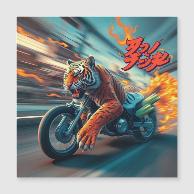 Jinete de Tigre de Medianoche (Anverso)