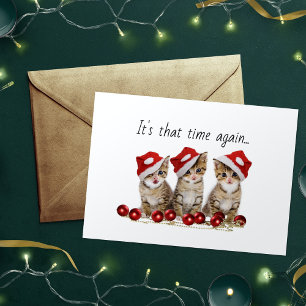 Jingle Cats Meowy Navidad
