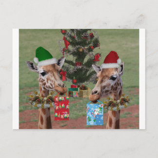 Jirafas del navidad