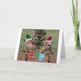 Jirafas del navidad