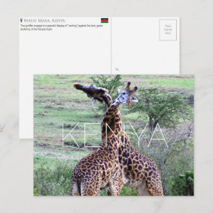 Jirafas en Masai Mara, Kenia Tarjeta postal de via