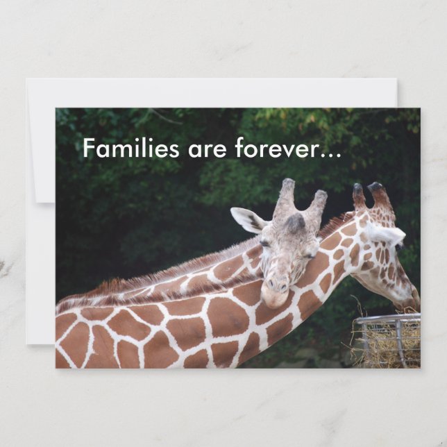 jirafas frotando el cuello, las familias son para  (Anverso)