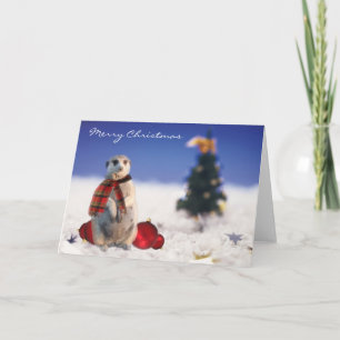 Jo Jo hola le desea Felices Navidad