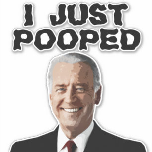 JOE BIDEN PEGATINA DECAL 8X8