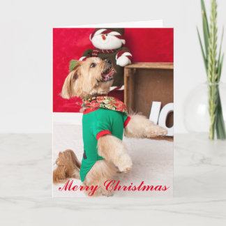 Joey ansioso para el navidad (2015)