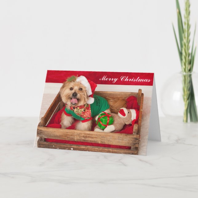 Joey desea a cada uno Felices Navidad (Anverso)