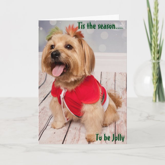 Joey experimenta la belleza del navidad (Anverso)