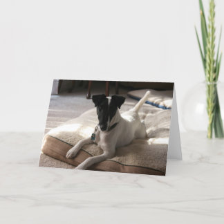 "Joey" Tarjeta de felicitación de foto de perro Sm