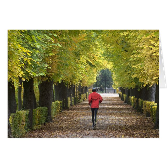 Jogger (Anverso (Horizontal))