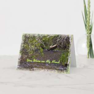 John 16:33 Tarjeta de aliento