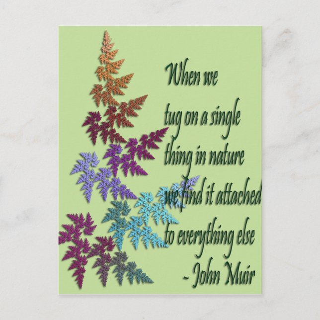 john muir - postal (Anverso)