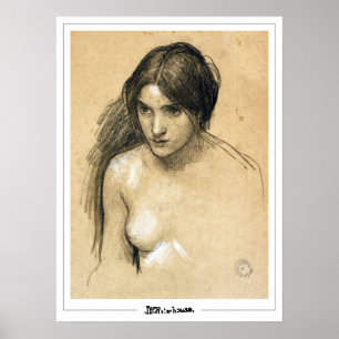 John William Waterhouse Cartel de Arte Zedign #4