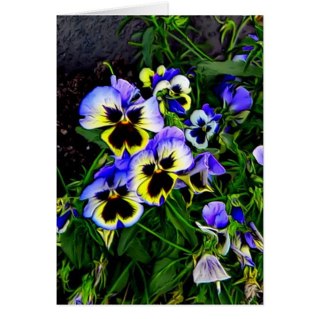 Johnny Jump Up (Frente)