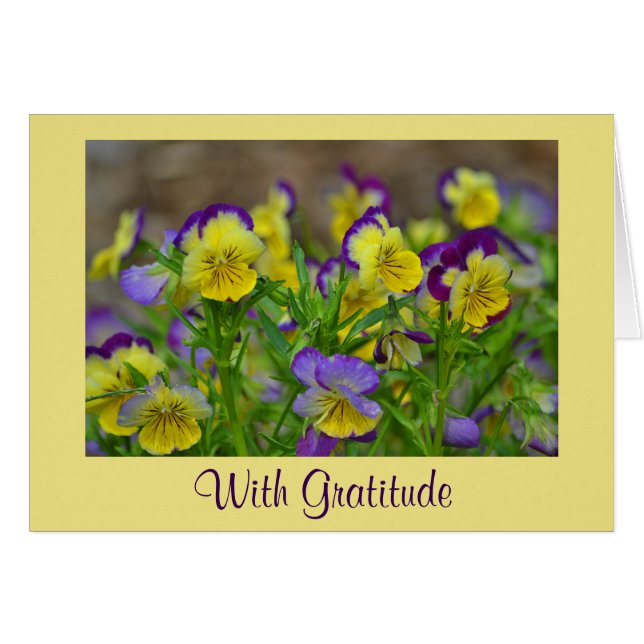 Johnny Jump Up Thank You Card (Anverso (Horizontal))