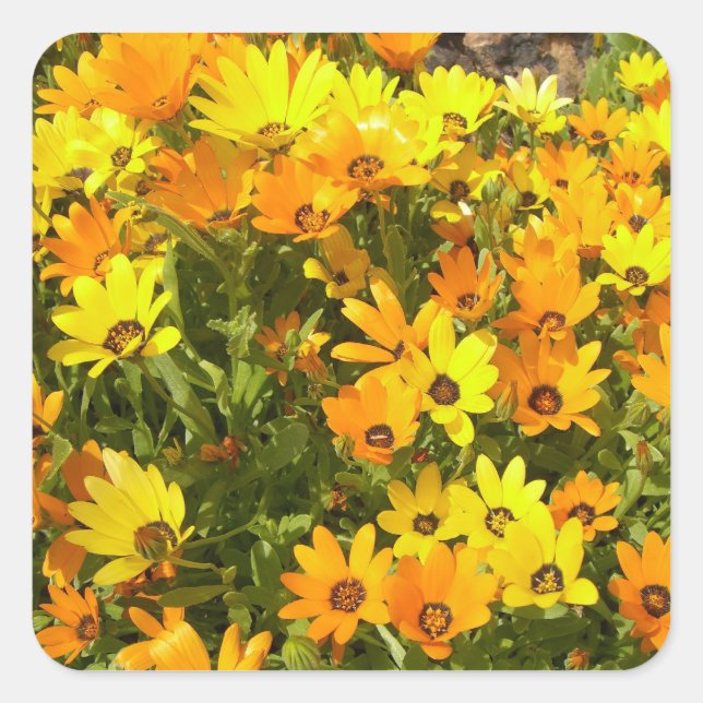 Joie de Vivre (1) Pegatinas (Anverso)