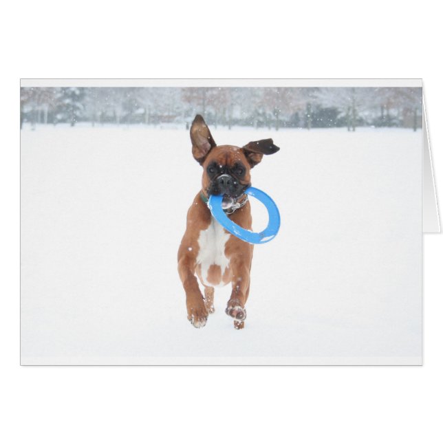 Jolie que juega frizbee en la nieve (Anverso (Horizontal))