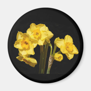 Jonquil florece el imán