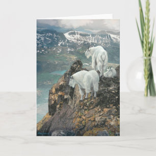 Joshua espía la tarjeta de nota