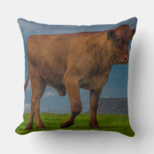 Joven almohada fotográfica de toro