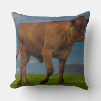 Joven almohada fotográfica de toro