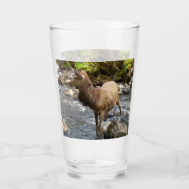 Joven ciervo rojo en el río