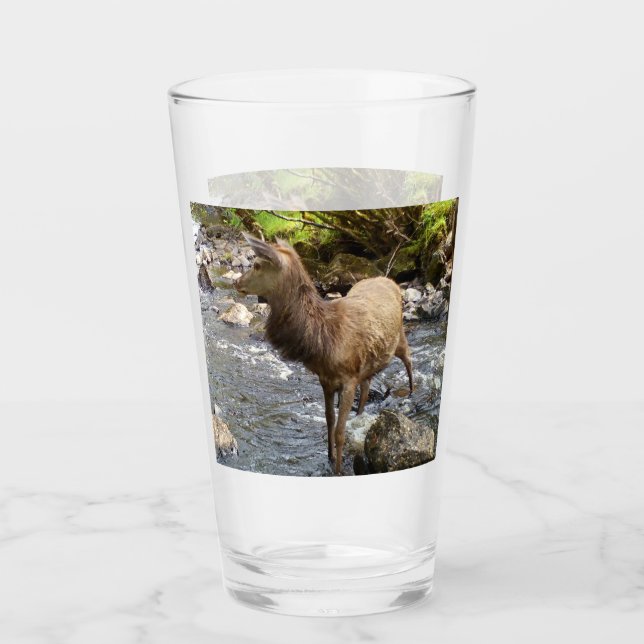 Joven ciervo rojo en el río (Anverso)