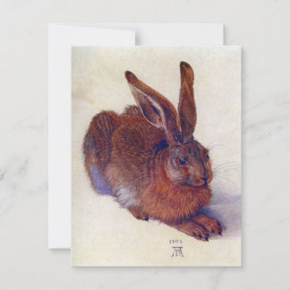 Joven liebre de Albrecht Durer, Bella Artes del Re