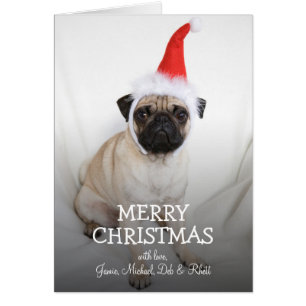 Joven pug con sombrero Santa