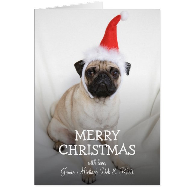 Joven pug con sombrero Santa (Frente)
