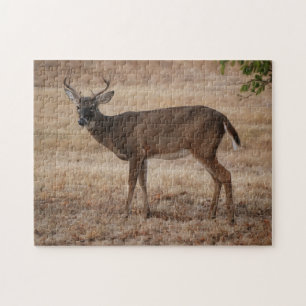 Joven rompecabezas de arte Buck Deer Texas Meadow