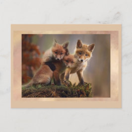 Joven trío Fox posando postal