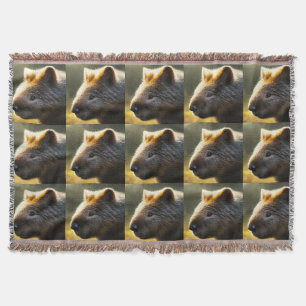 Joven Wombat australiano, lanza una manta