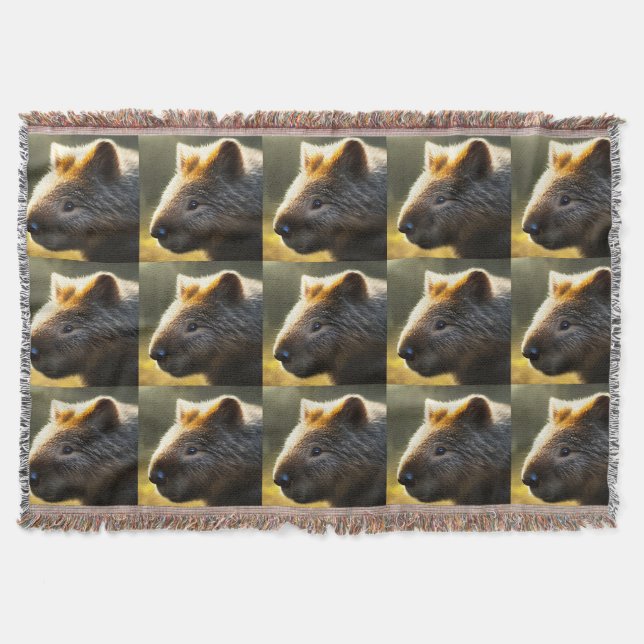 Joven Wombat australiano, lanza una manta (Anverso)