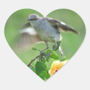 Jóvenes Pegatinas de Mockingbird