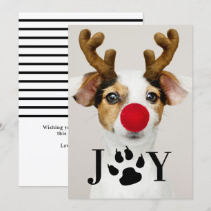 Joy Dog Paw Imprimir tarjeta de fotografía navideñ