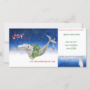 Joy Dolphin Navidades Porpoise