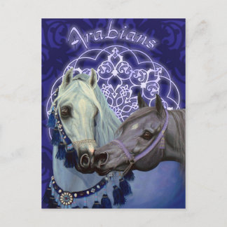 Joyas del Desierto Caballos árabes postal