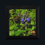 Joyero Bee de abejas moradas y abeja de burbujas<br><div class="desc">Flor de abeja púrpura y burbujas amarillas y negras. Foto de Sandy Closs tomada en Lake Arrowhead morado,  "bálsamo de abeja",  flor,  flores,  floral,  primavera,  cereza,  cerezas,  jardín,  boda,  bodas, </div>