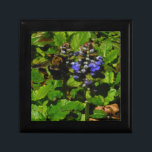 Joyero Bee de abejas moradas y abeja de burbujas<br><div class="desc">Flor de abeja púrpura y burbujas amarillas y negras. Foto de Sandy Closs tomada en Lake Arrowhead morado,  "bálsamo de abeja",  flor,  flores,  floral,  primavera,  cereza,  cerezas,  jardín,  boda,  bodas, </div>