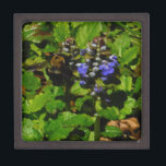 Joyero Bee de abejas moradas y abeja de burbujas<br><div class="desc">Flor de abeja púrpura y burbujas amarillas y negras. Foto de Sandy Closs tomada en Lake Arrowhead morado,  "bálsamo de abeja",  flor,  flores,  floral,  primavera,  cereza,  cerezas,  jardín,  boda,  bodas, </div>