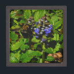Joyero Bee de abejas moradas y abeja de burbujas<br><div class="desc">Flor de abeja púrpura y burbujas amarillas y negras. Foto de Sandy Closs tomada en Lake Arrowhead morado,  "bálsamo de abeja",  flor,  flores,  floral,  primavera,  cereza,  cerezas,  jardín,  boda,  bodas, </div>