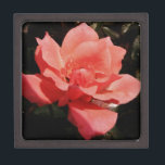 Joyero Bonito Rosa Rosa Rosa floral<br><div class="desc">Rosa Rosa Rosa Rosa Rosa Rosa Rosa de Peach. Hermosa foto de una rosa rosa rosa color pavo de la artista Sandra Marie Closs. Añade tu propio texto, nombre o monograma para crear el producto perfecto para cualquier ocasión. Boda, fiesta de la fiesta nupcial, simpatía, cumpleaños, ducha de bebé, cualquier...</div>