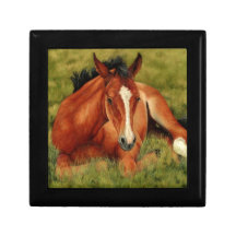 De Tuckered potro de reclinación hacia fuera -