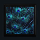 Joyero Elegante Royal Blue Peacock Keepsake Giftbox<br><div class="desc">Elegante caja de regalo de plumas de pavo real azul marino. Esta hermosa caja de regalo de pavo real azul es realmente impresionante.</div>