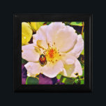 Joyero Escarabajo japonés sobre rosa blanco<br><div class="desc">Hermosa foto de un escarabajo japonés en rosa amarilla blanca por la artista Sandra Marie Closs. Añade tu propio texto, nombre o monograma para crear el producto perfecto para cualquier ocasión. Boda, fiesta de la fiesta nupcial, simpatía, cumpleaños, ducha de bebé, cualquier celebración o solo para hacer su día un...</div>