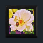 Joyero Escarabajo japonés sobre rosa blanco<br><div class="desc">Hermosa foto de un escarabajo japonés en rosa amarilla blanca por la artista Sandra Marie Closs. Añade tu propio texto, nombre o monograma para crear el producto perfecto para cualquier ocasión. Boda, fiesta de la fiesta nupcial, simpatía, cumpleaños, ducha de bebé, cualquier celebración o solo para hacer su día un...</div>