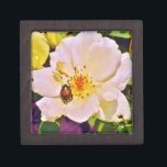 Joyero Escarabajo japonés sobre rosa blanco<br><div class="desc">Hermosa foto de un escarabajo japonés en rosa amarilla blanca por la artista Sandra Marie Closs. Añade tu propio texto, nombre o monograma para crear el producto perfecto para cualquier ocasión. Boda, fiesta de la fiesta nupcial, simpatía, cumpleaños, ducha de bebé, cualquier celebración o solo para hacer su día un...</div>