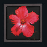 Joyero Flor de Hibiscus rojo rosado caliente en negro<br><div class="desc">Hermosa foto de una flor de Hibiscus rojo caliente en negro por la artista Sandra Marie Closs. Añade tu propio texto, nombre o monograma para crear el producto perfecto para cualquier ocasión. Boda, fiesta de la fiesta nupcial, simpatía, cumpleaños, ducha de bebé, cualquier celebración o solo para hacer su día...</div>